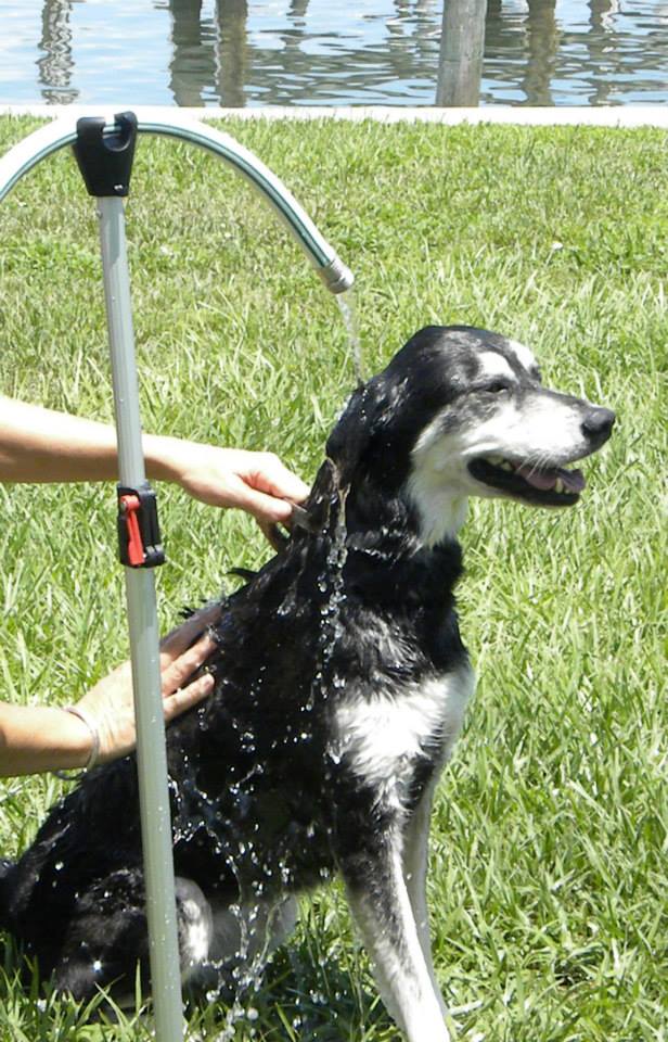 Hose Hooker Holds Your Garden Hose In Place For Washing Your Dog