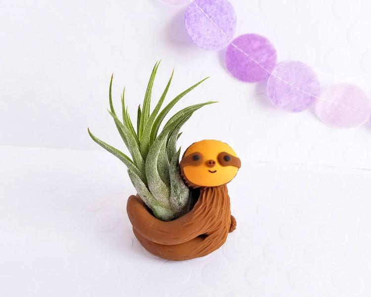 Hugging Sloth Air Planter - Cute sloth air plant holder