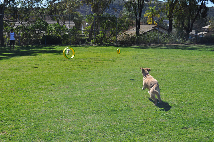 HurriK9 - Hurri-canine - Ring Launching Dog Fetch Toy