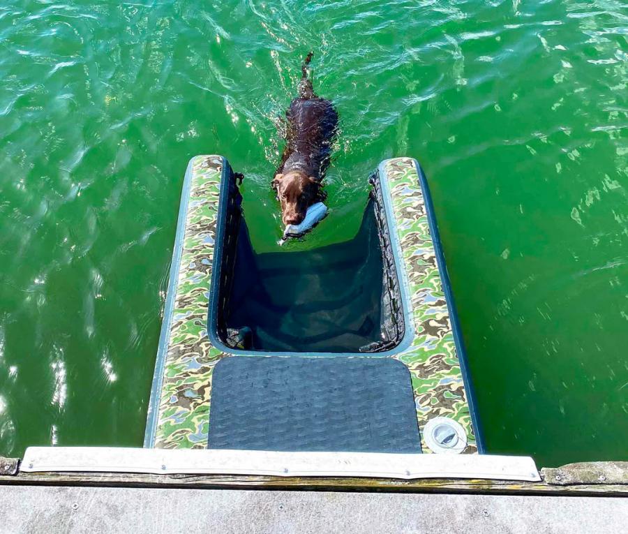 Homemade dog ladder for hotsell duck boat