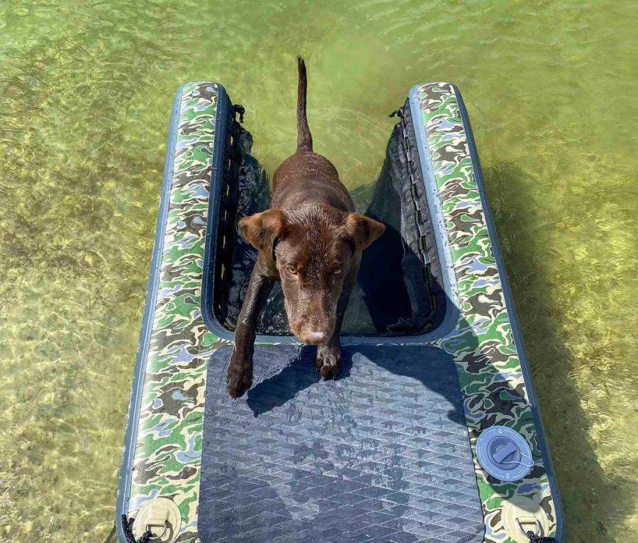 Inflatable Dog Ramp For Dock, Boat, or Pool - Floating Pup Ramp