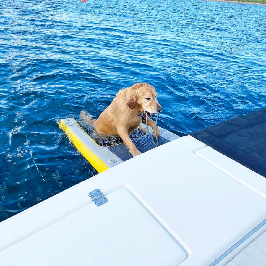 Inflatable Dog Ramp For Dock, Boat, or Pool - Floating Pup Ramp