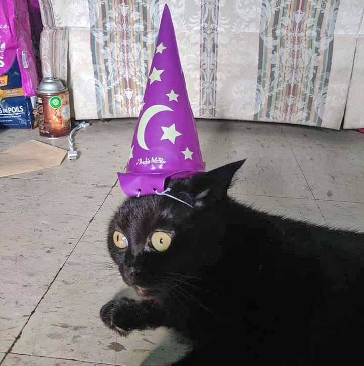 Inflatable Wizard Hat For Your Cat