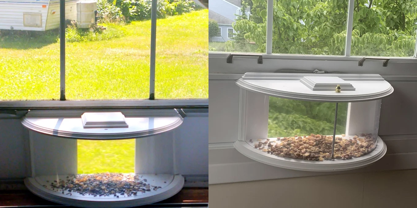 Rounded window bird viewer - Inside house bird feeder