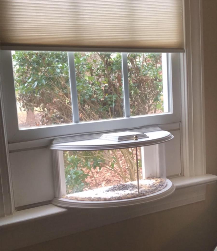 Indoor bird feeder and window mounted indoor bird viewer