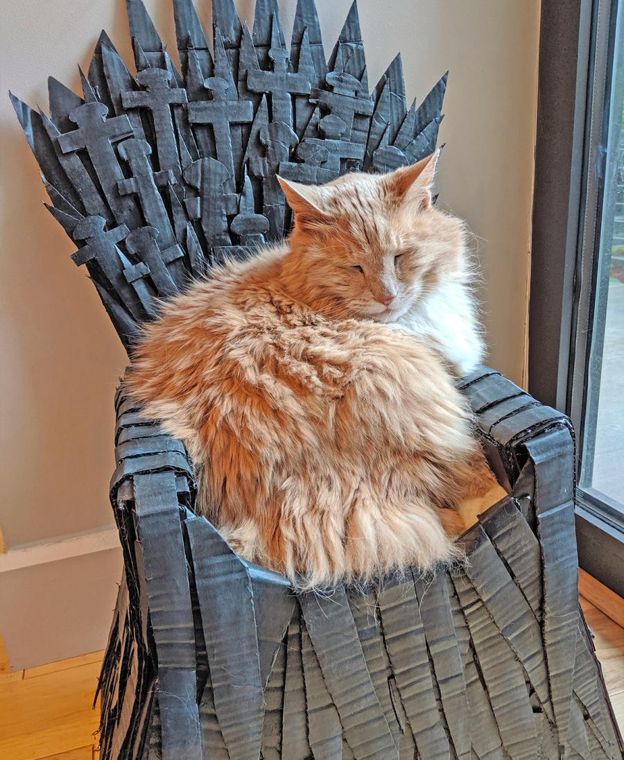 Game Of Thrones Cat Bed Iron Throne Cat Chair