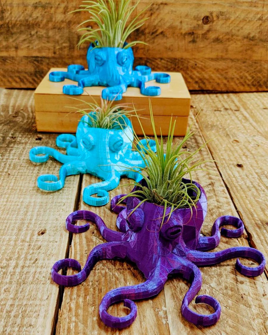 Octopus Air Plant Holders