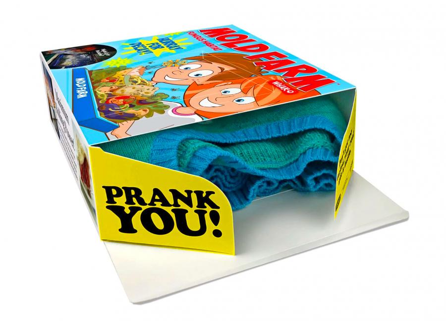 Kids mold farm prank box