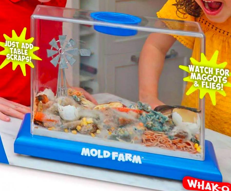 Kids mold farm prank box