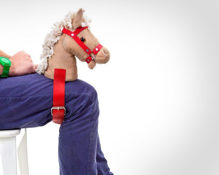 horsey toy