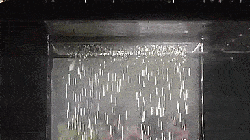 Kohler Real Rain Shower Head Simulates a Real Summer Rain Shower - Best Rain drop shower head