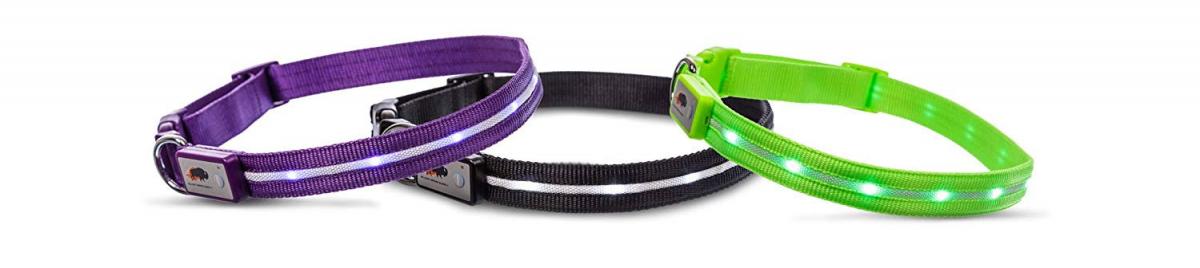 LED Lighted Dog Collar