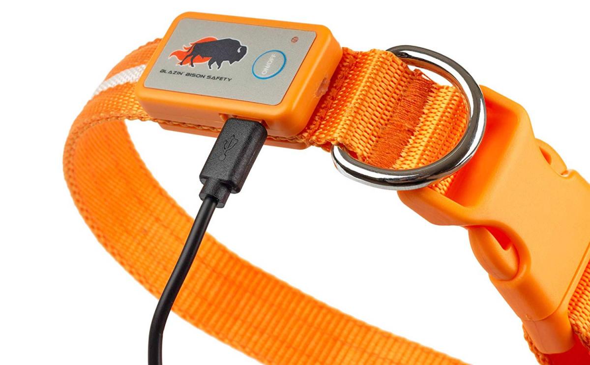 LED Lighted Dog Collar