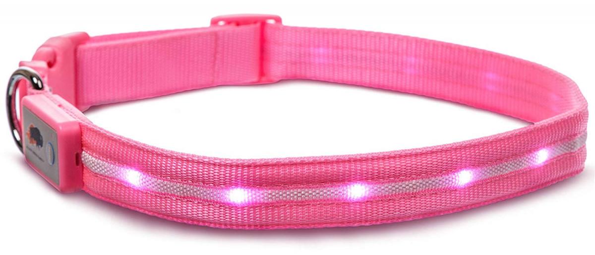 LED Lighted Dog Collar LED Lighted Dog Collar