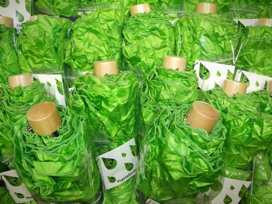 Vegetabrella - Lettuce Umbrella