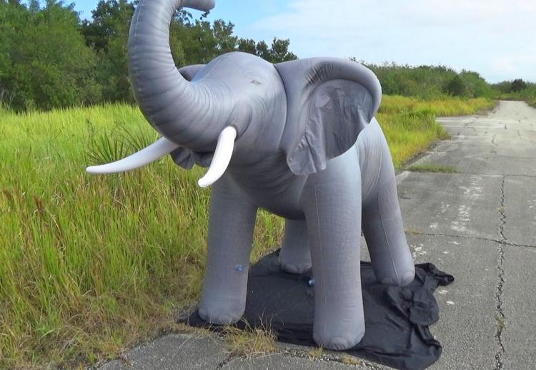 Life-Size Inflatable Elephant Toy