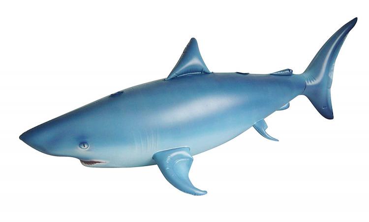 blow up shark toy