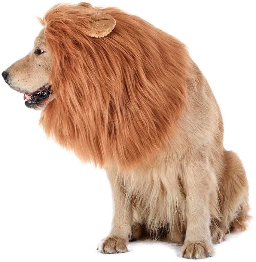 Dog Lion Mane Costume - Dog lion wig