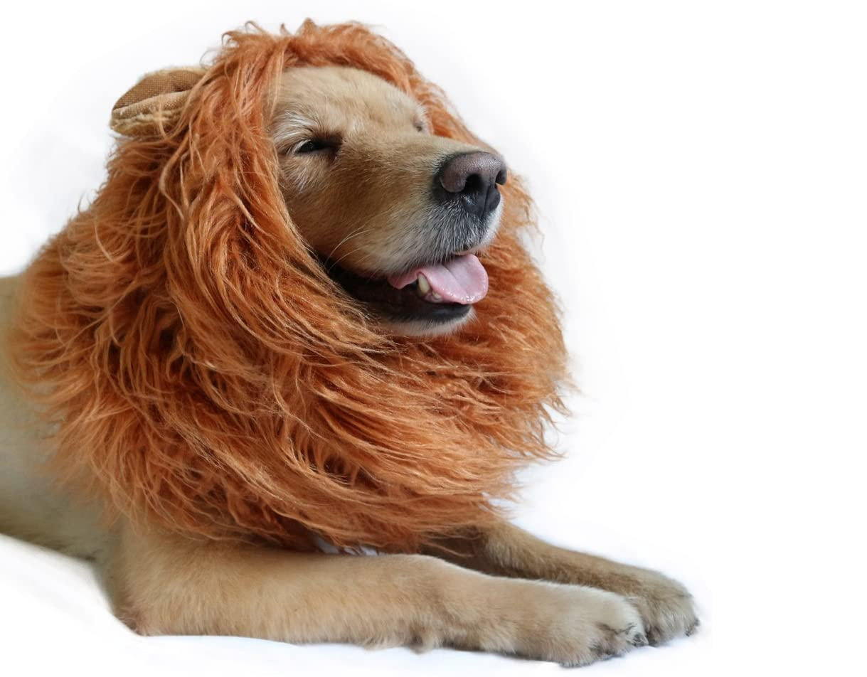 Turn Your Dog Or Cat Into a Lion With These Lion Mane Pet Wigs - Dog lion mane wig