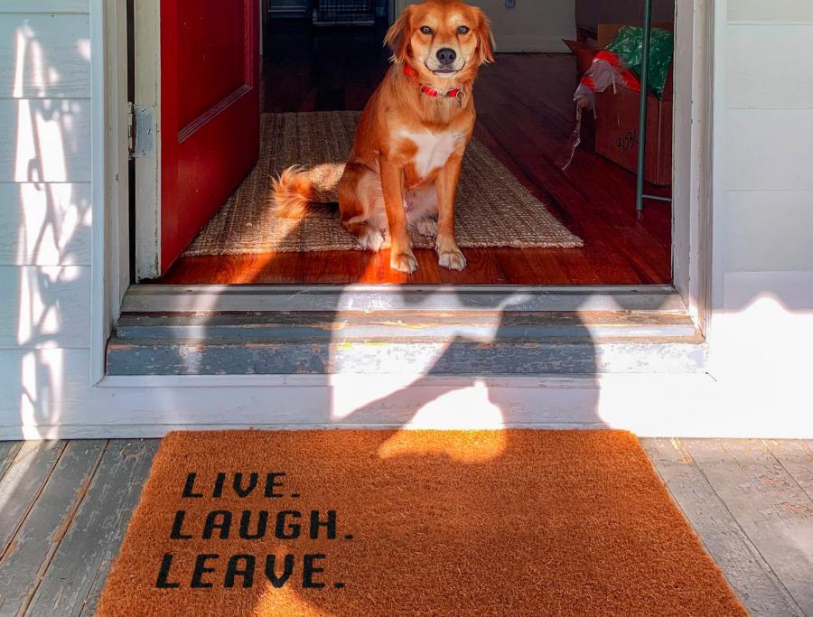 Live Laugh Leave by 9 Doormat, Funny Welcome Mat, Outdoor Mat, Front Door  Mat, Housewarming Gift for New Homeowners 