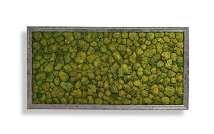 Living Moss Wall Art