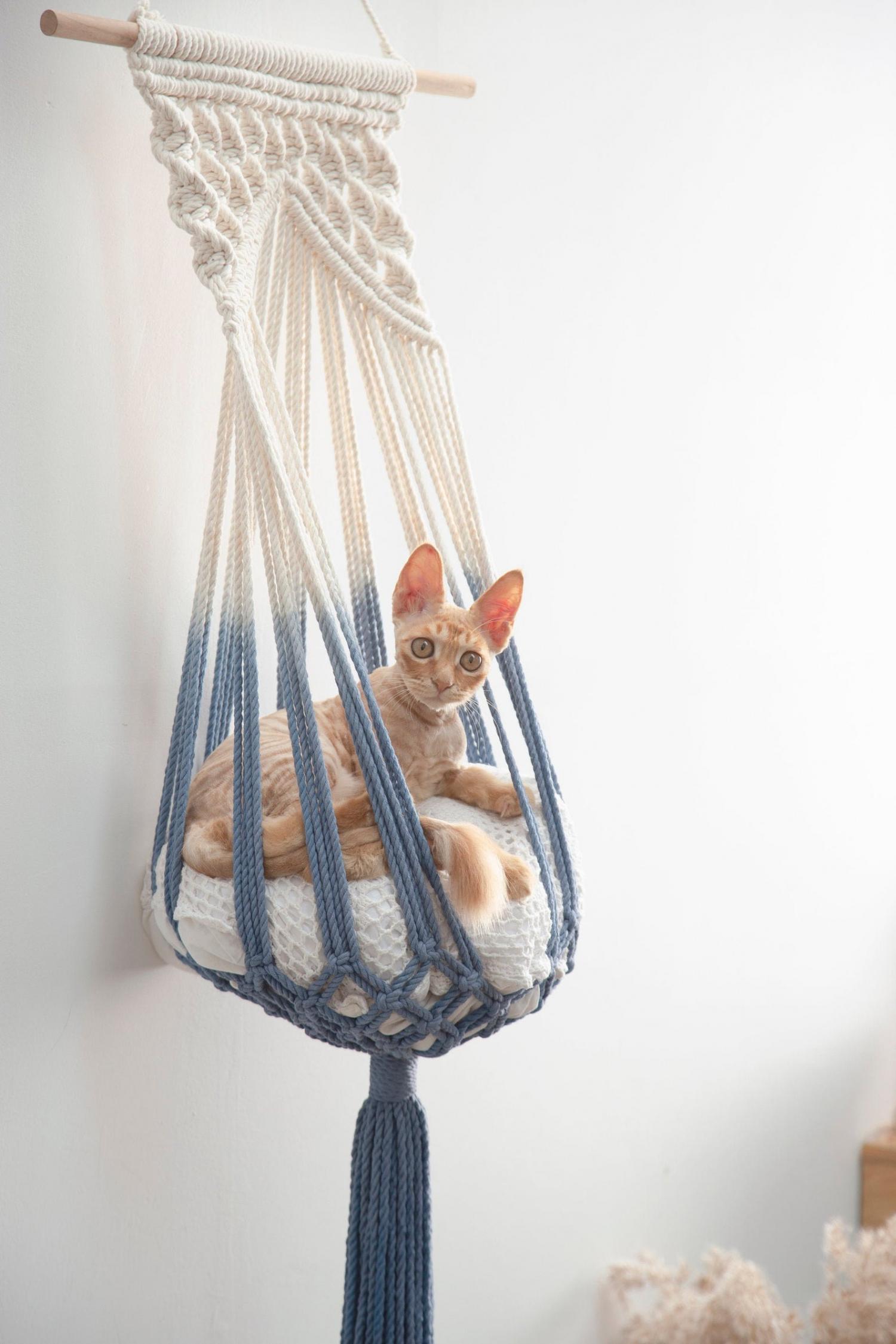 What Kitty Wouldn't Love One Of These Hanging Macrame Cat Hammocks?