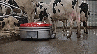 Lely Discovery Manure Cleaning Robot Vacuum Barn Floor Roomba