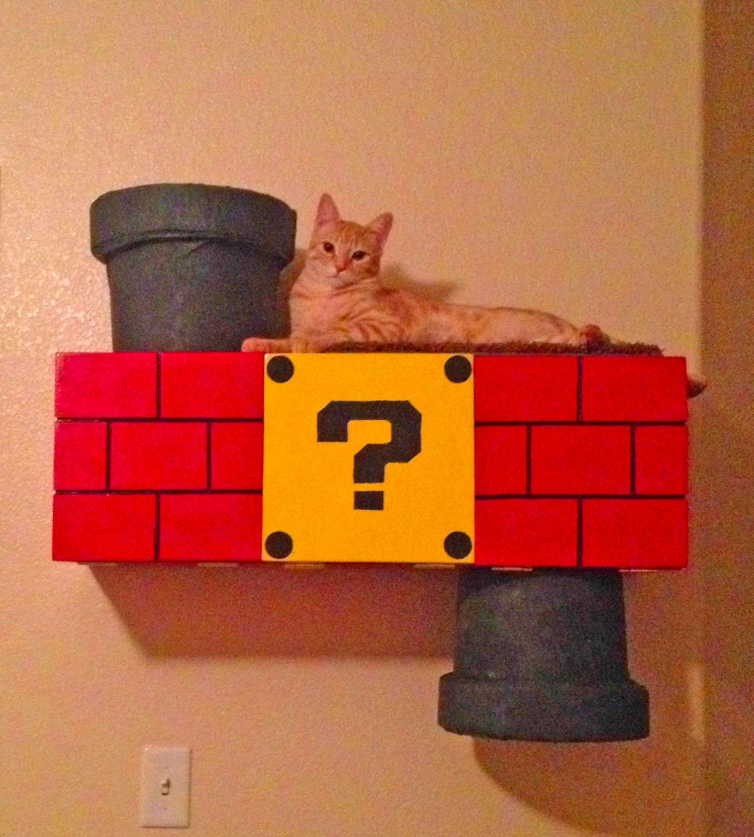 Mario hotsell cat shelves