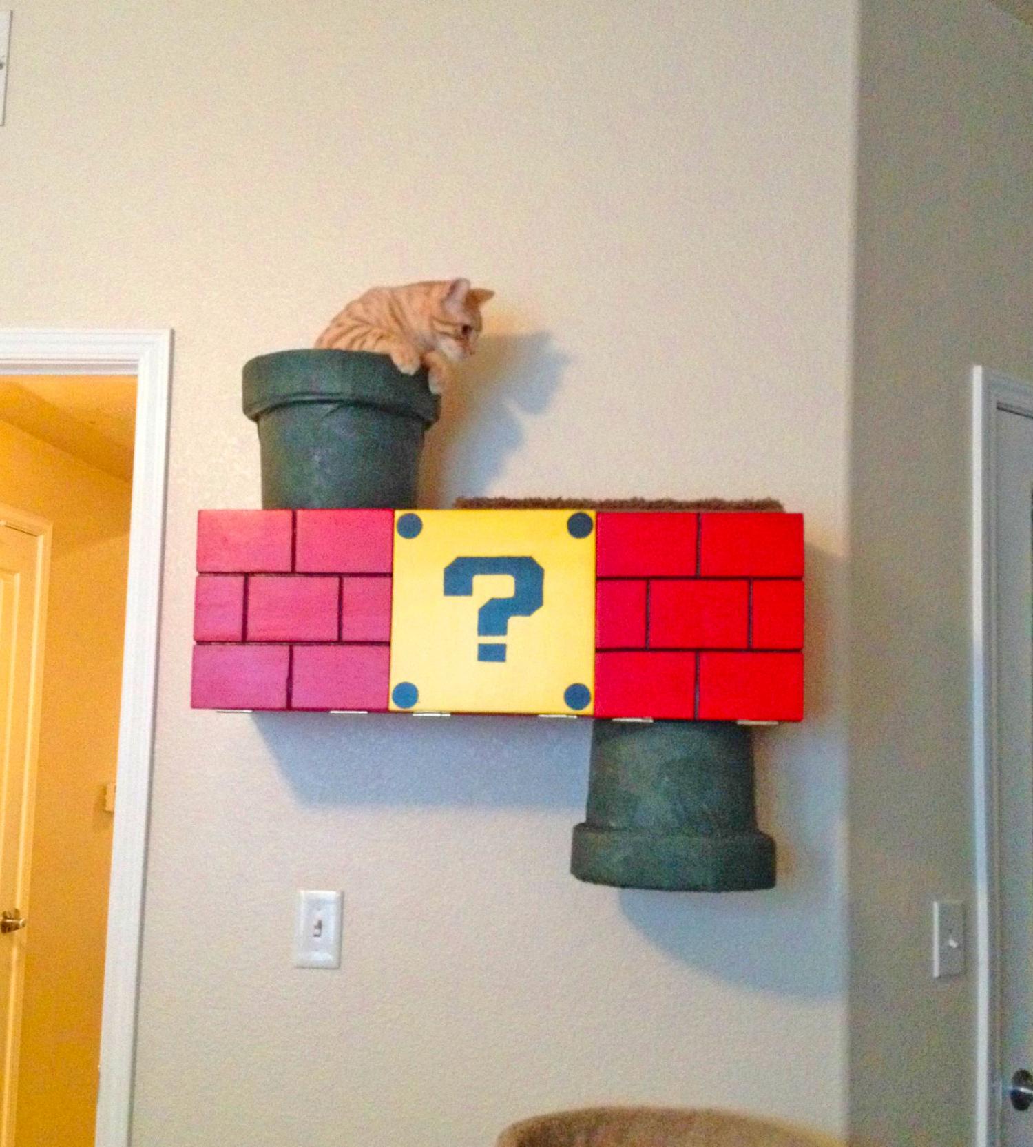 Mario Cat Playground