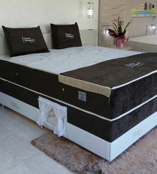 mattress with dog bed