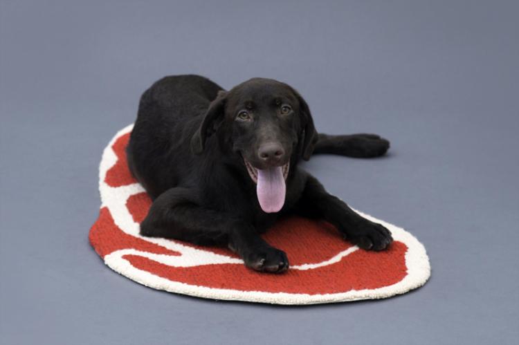 Meat Shaped Dog Rugs