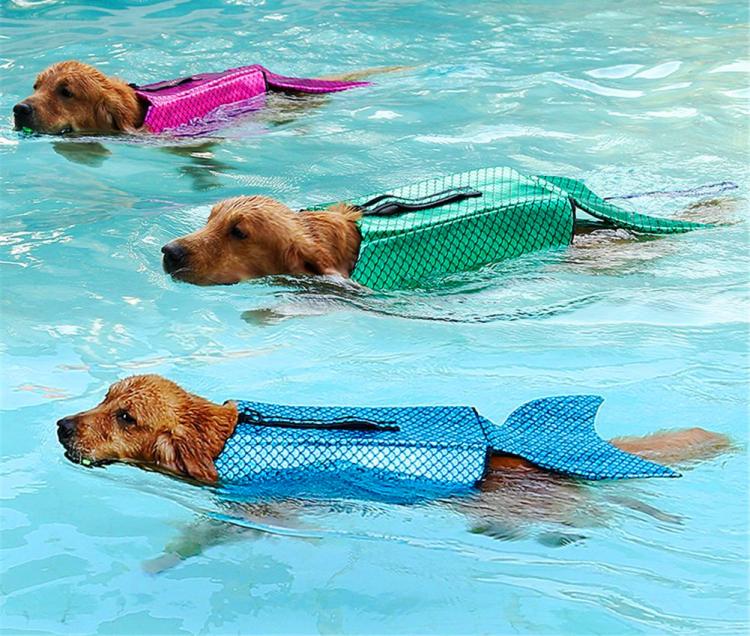 Mermaid Dog Life Jacket Turns Your Dog Into a Majestic Mermaid - Mermaid dog swimming vest