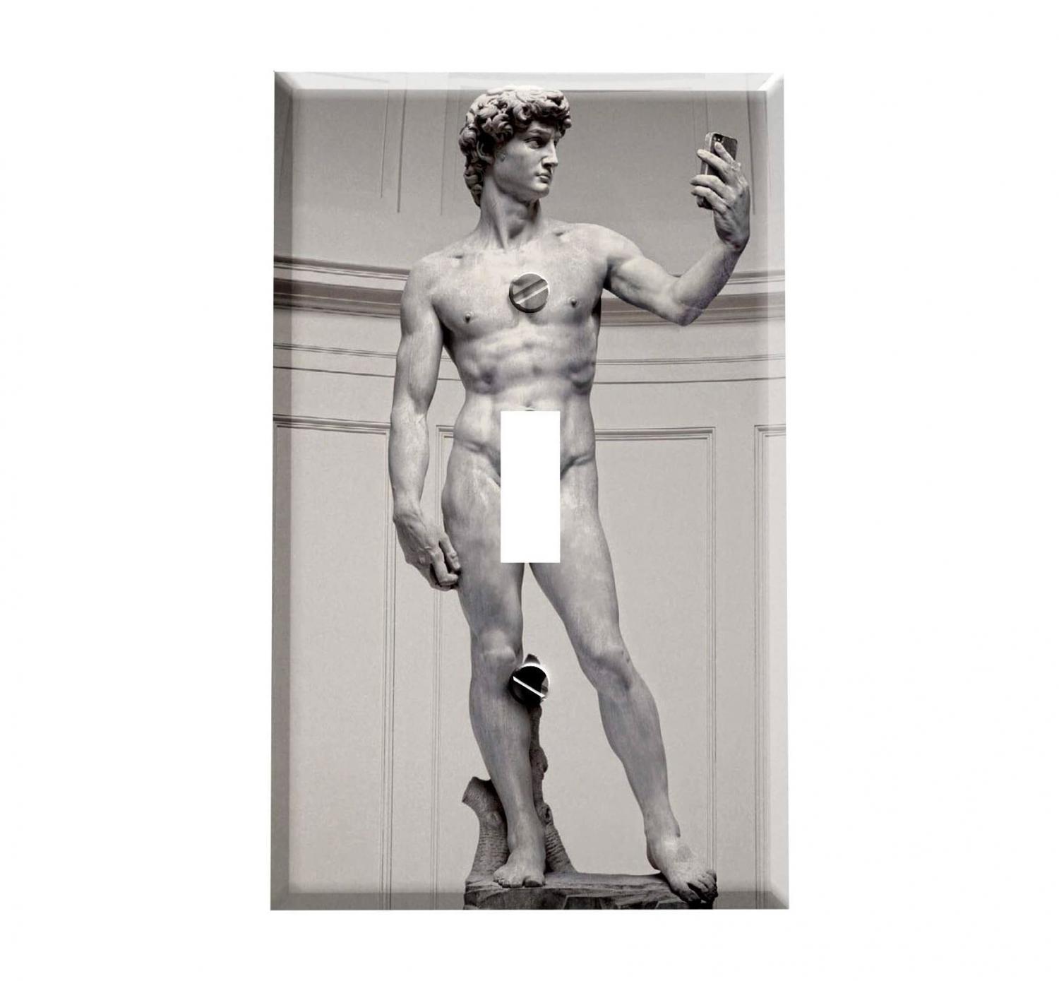 Michelangelo's David Penis Light Switch Plate