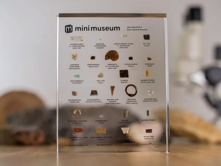 Mini Museum 2 - Portable Glass Collection Of Rare Items