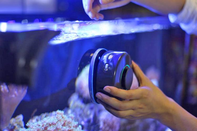 MOAI Robotic Aquarium Camera and Cleaner - Aquarium Roomba - Robotic fish tank cleaner