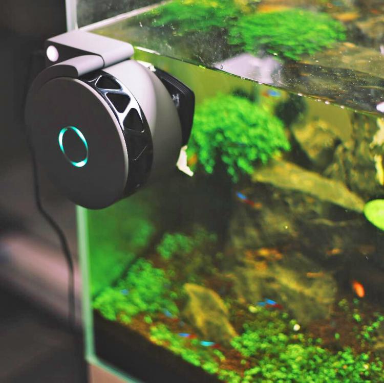 robot fish for aquarium