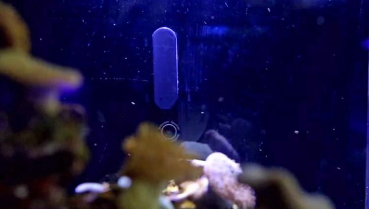 MOAI Robotic Aquarium Camera and Cleaner - Aquarium Roomba - Robotic fish tank cleaner