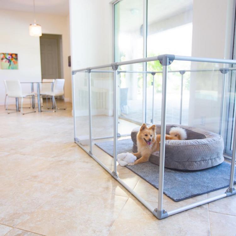 glass dog pen