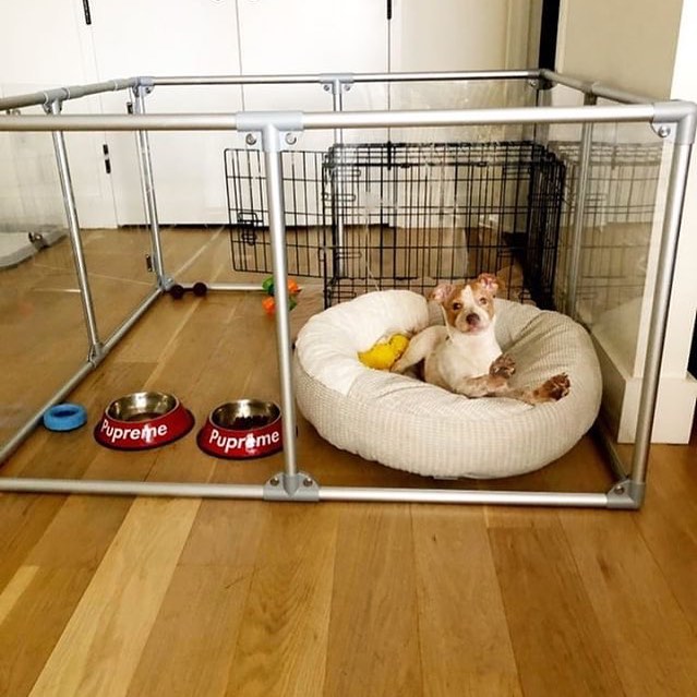 plexiglass dog pen