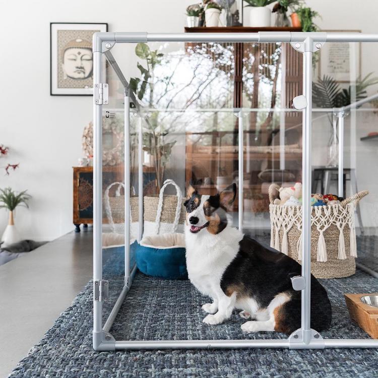 modern dog pens