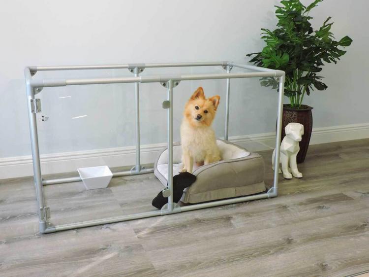 glass dog pen