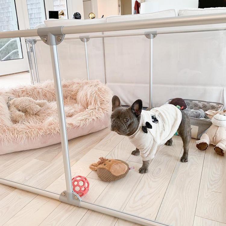 Modern Design Glass Dog Pens