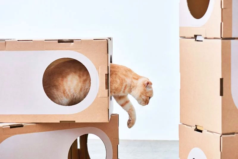 Modular Cat Playground