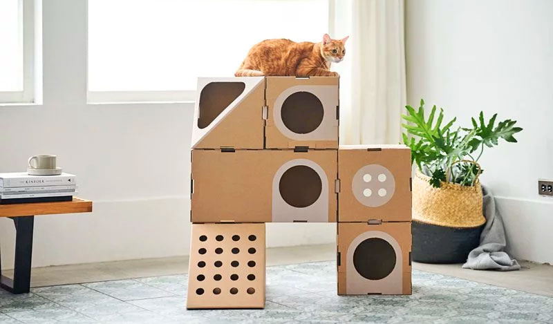 Modular Cat Playground