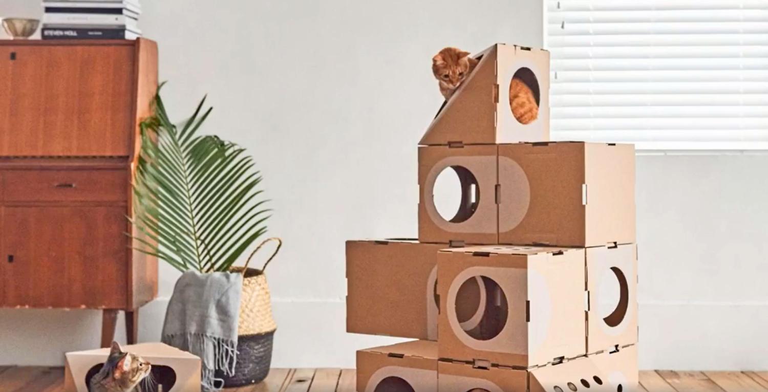 Modular Cat Playground