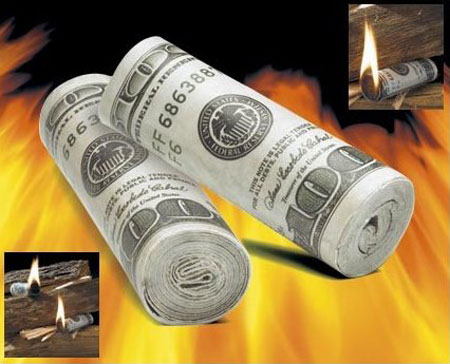 Money To Burn Fire Starters - Fake Money Fire Starting Rolls