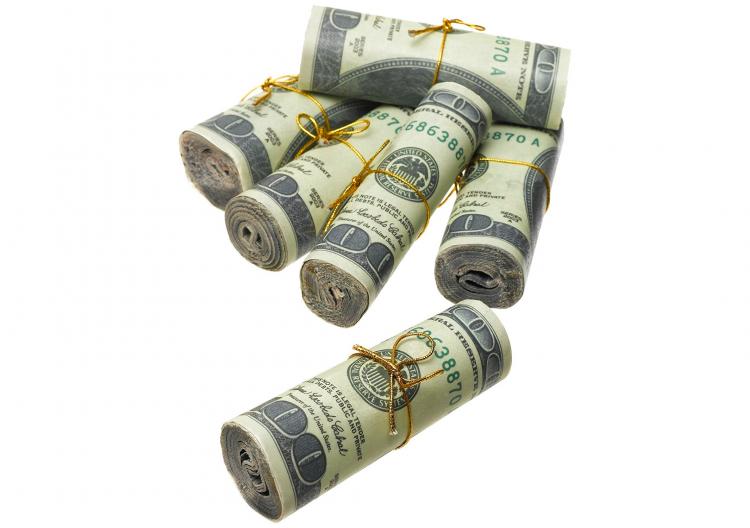 Money To Burn Fire Starters - Fake Money Fire Starting Rolls (6-Pack)