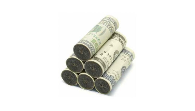 Money To Burn Fire Starters - Fake Money Fire Starting Rolls