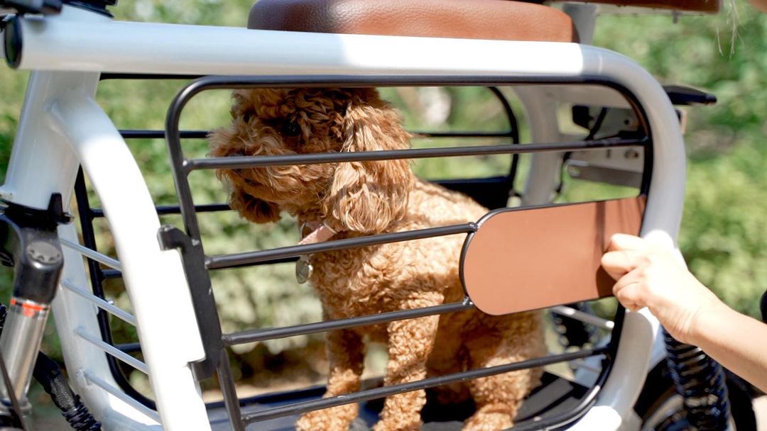 Mopet Dog Holding Electric E-Bike With Integrated Dog Kennel