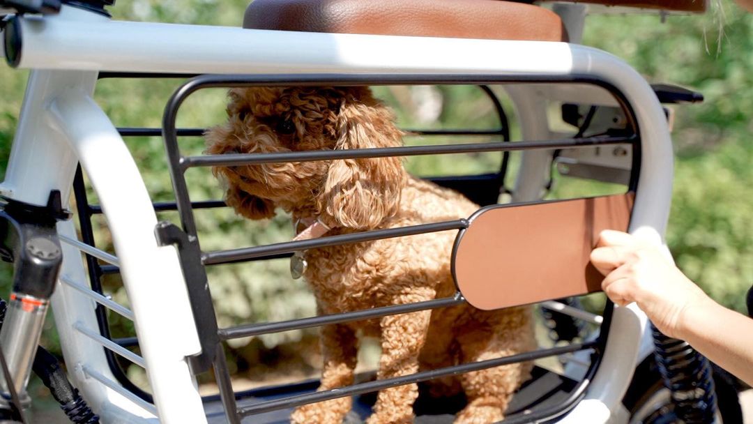 The Mopet Is An Electric Bicycle That Holds Your Dog While You Ride